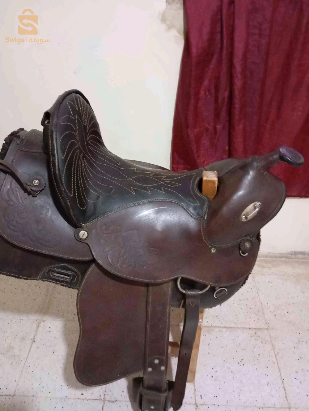 خيول 