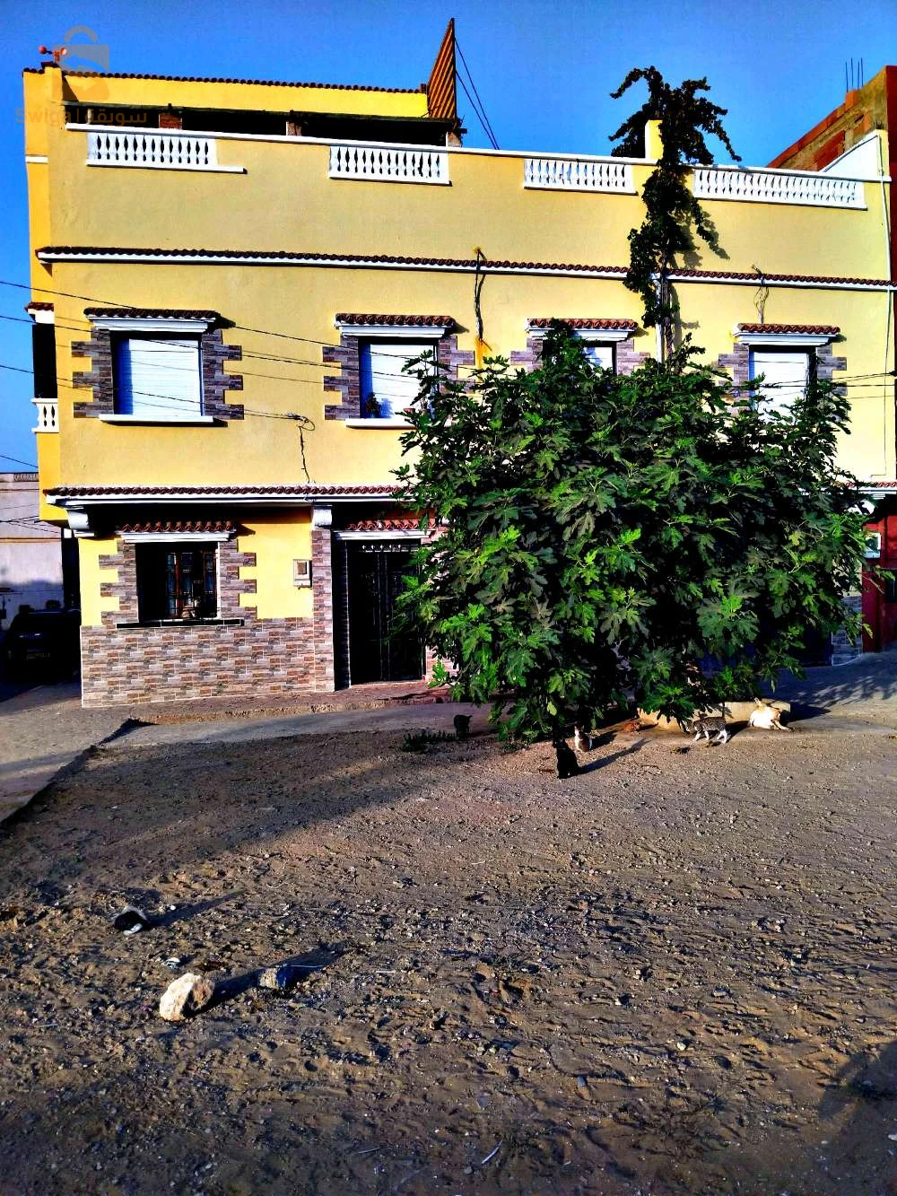 للبيع فلل سكنية عدد الغرف5 27 مستغانم