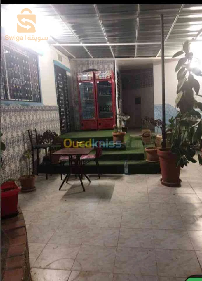 للبيع اراضي زراعية عدد الغرف 13 تلمسان