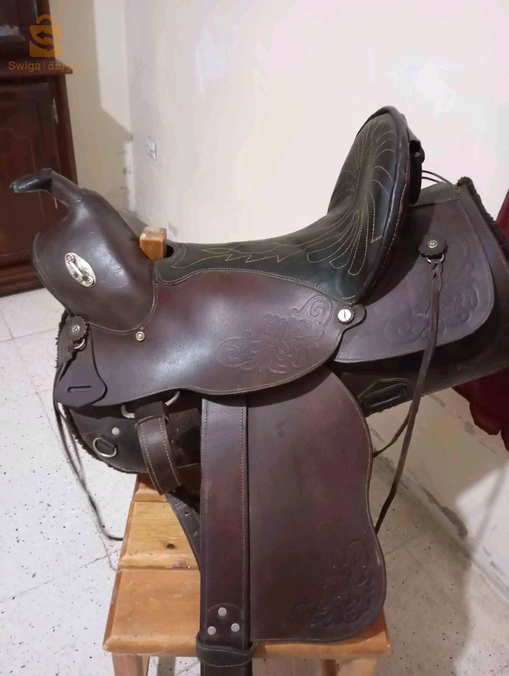 خيول 