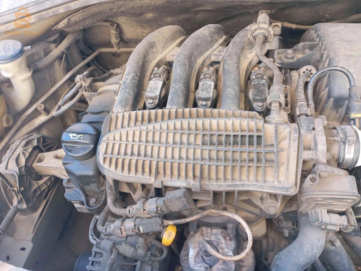 Peugeot 301 2013 21 SKIKDA