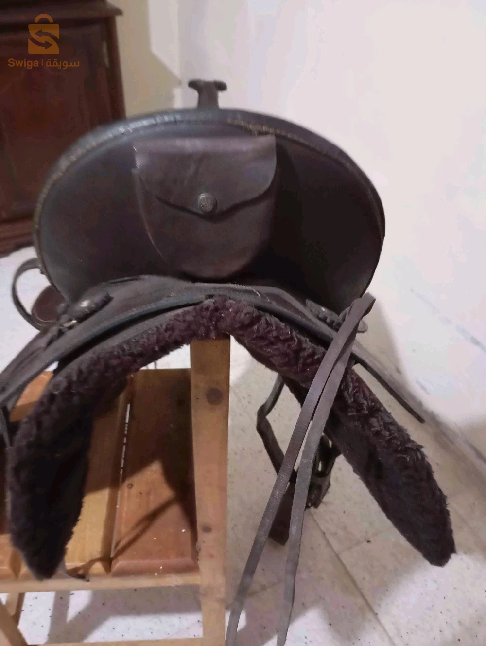 خيول 