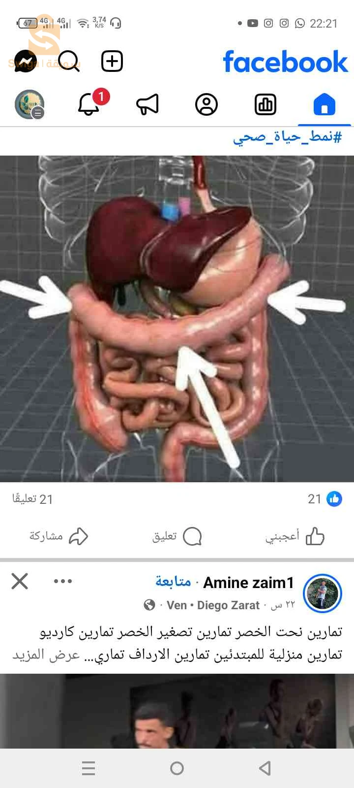 الصحة الغذائية 