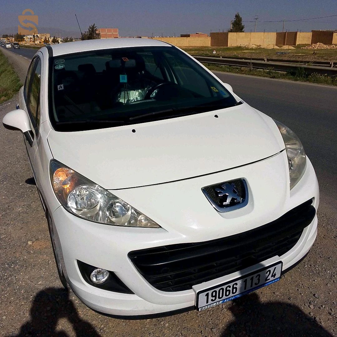 Peugeot 207 2013 43 MILA