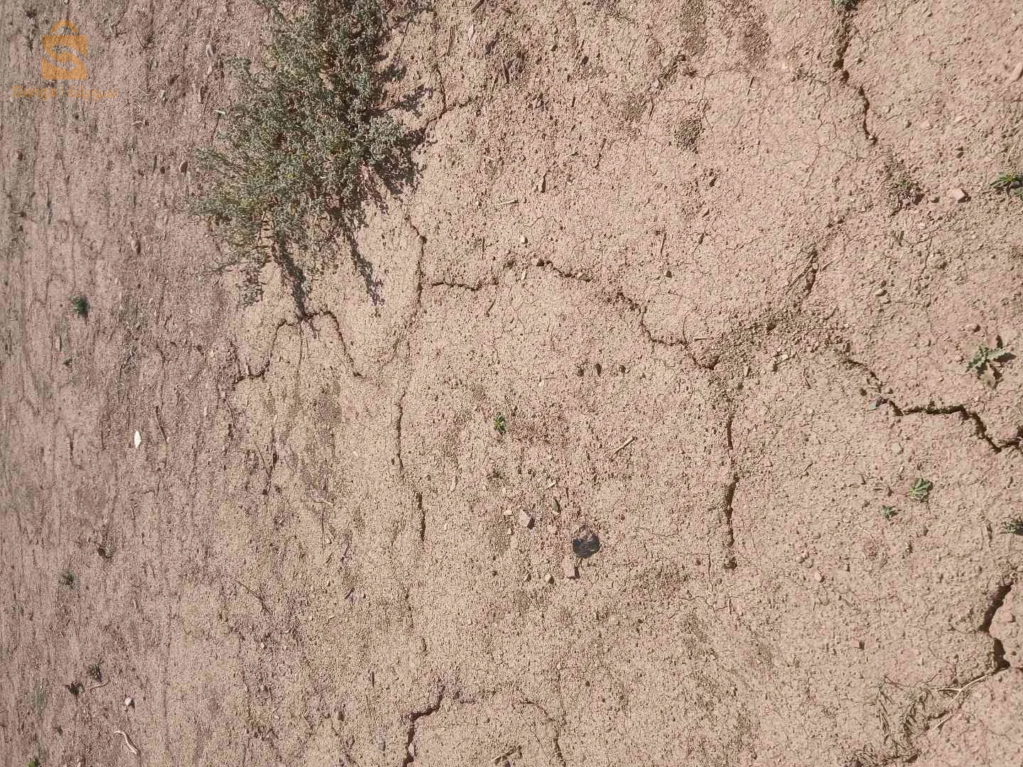 À vendre Terrains résidentiels les chambres  9 BLIDA