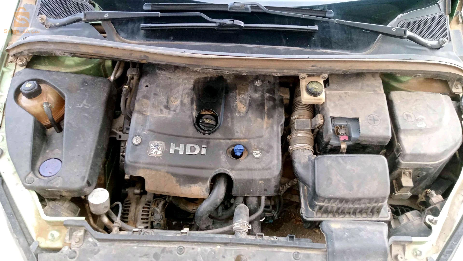 Peugeot 307 2004 38 TISSEMSILT