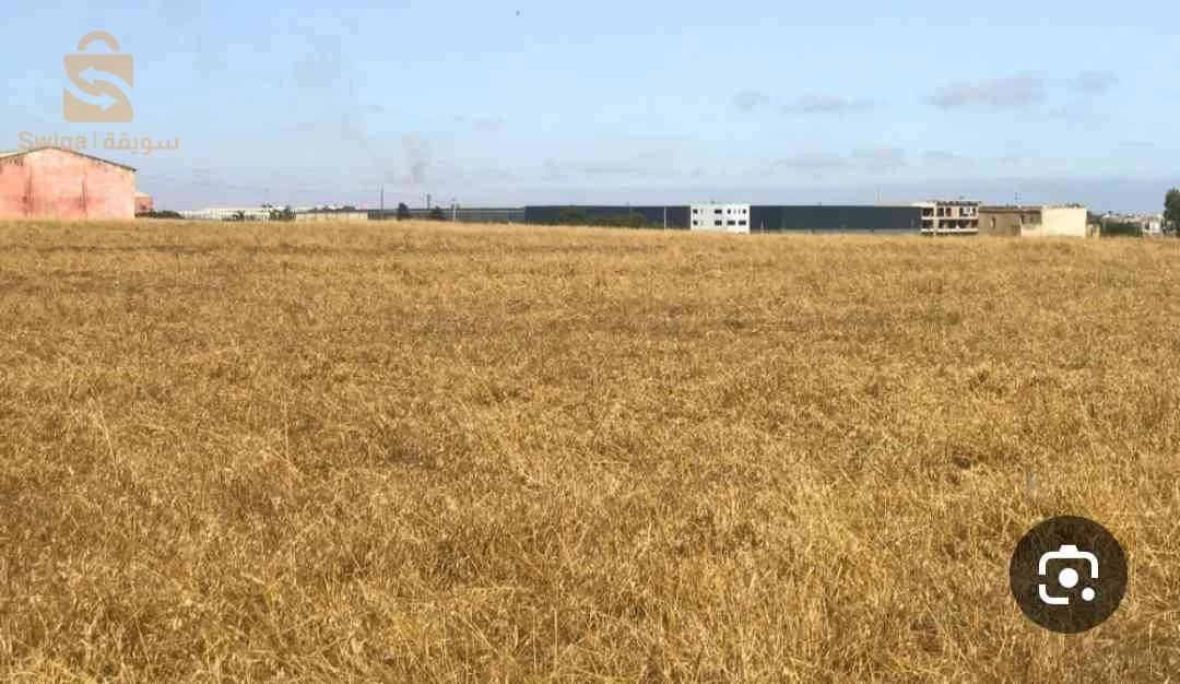 أرض صناعية 7هكتار ولاية البليدة