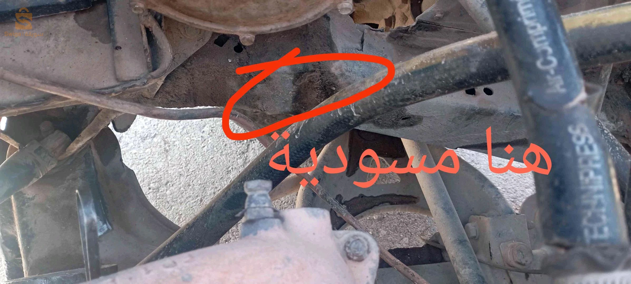 رينو R 21 1990 32 البيض