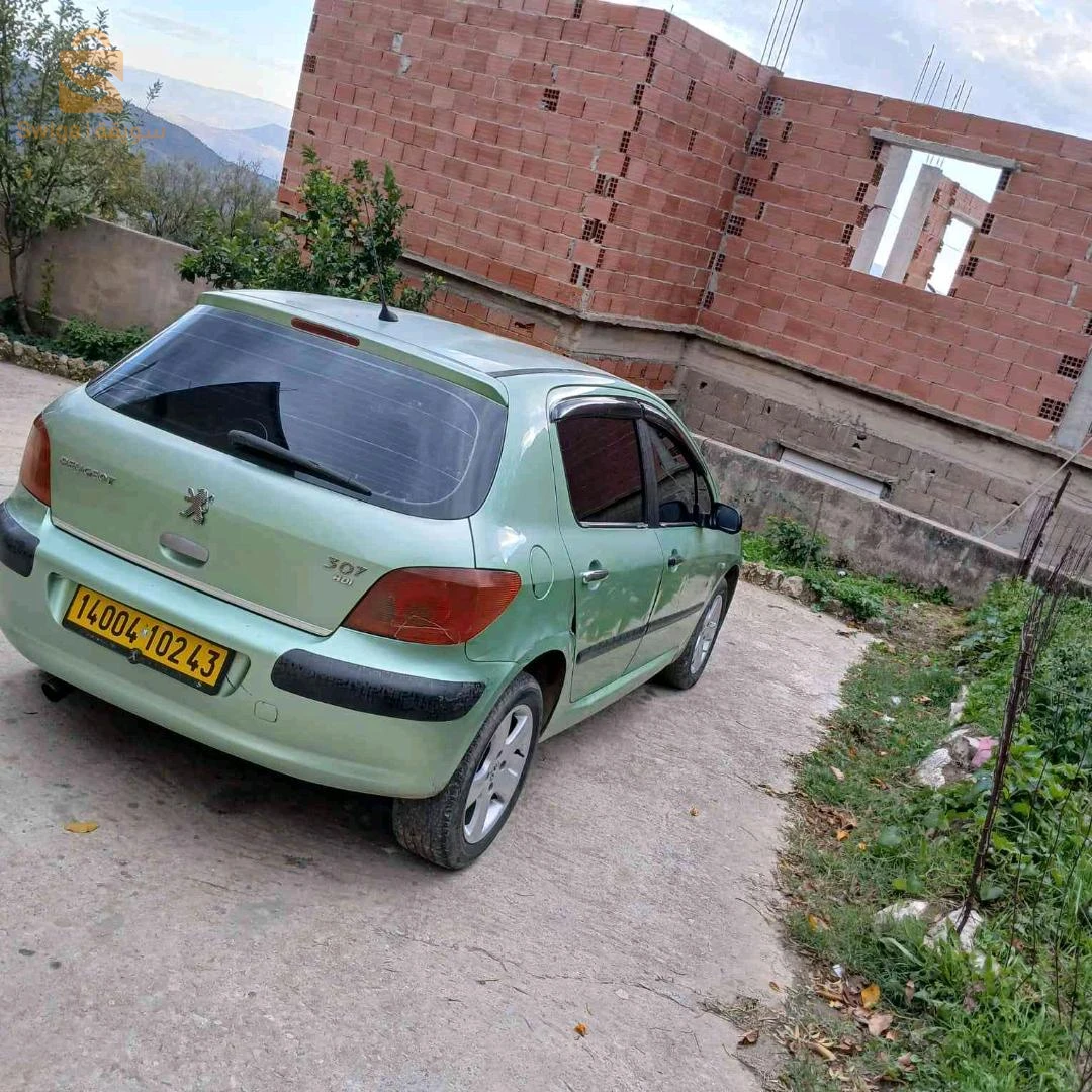 بيجو 307 2002 43 ميلة