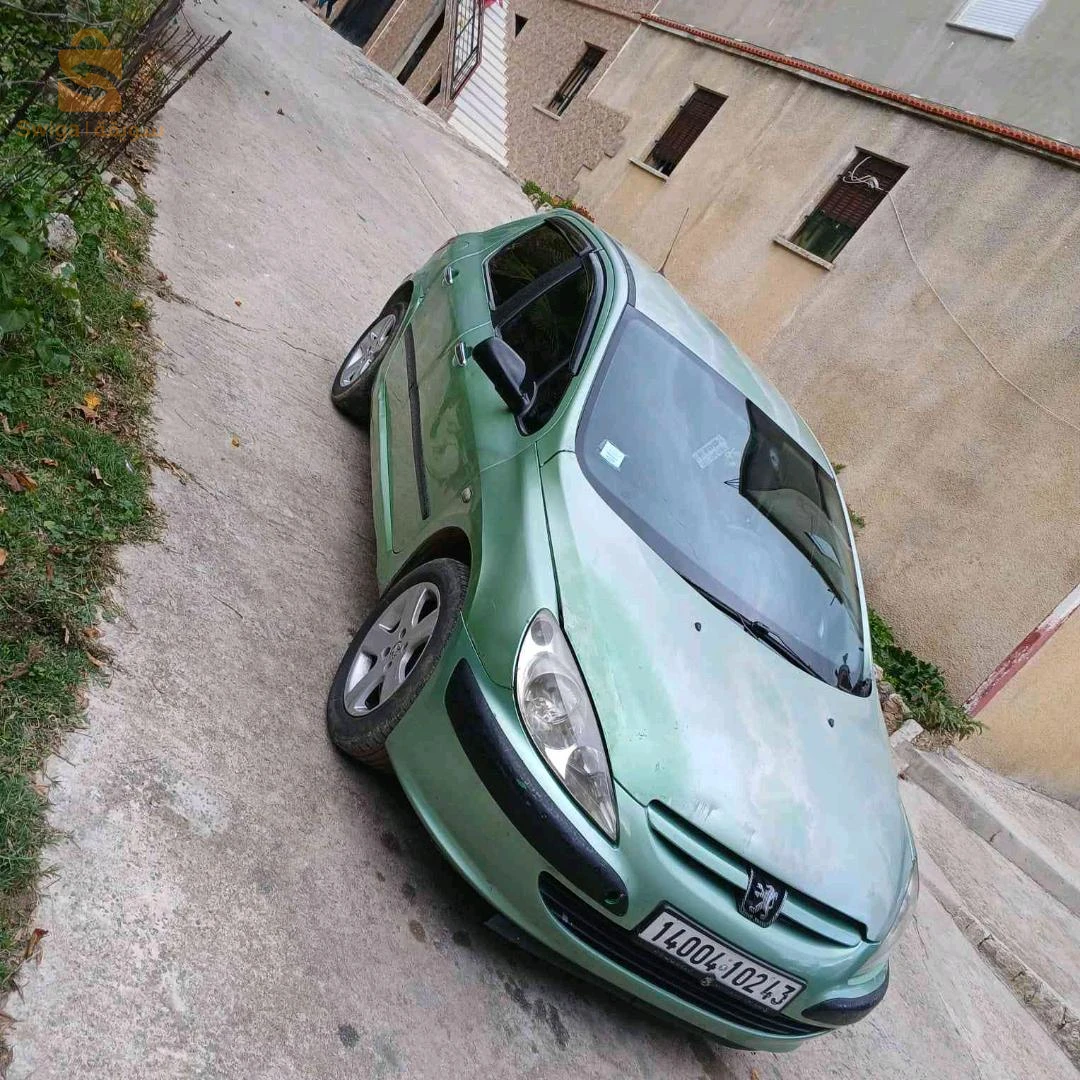 Peugeot 307 2002 43 MILA