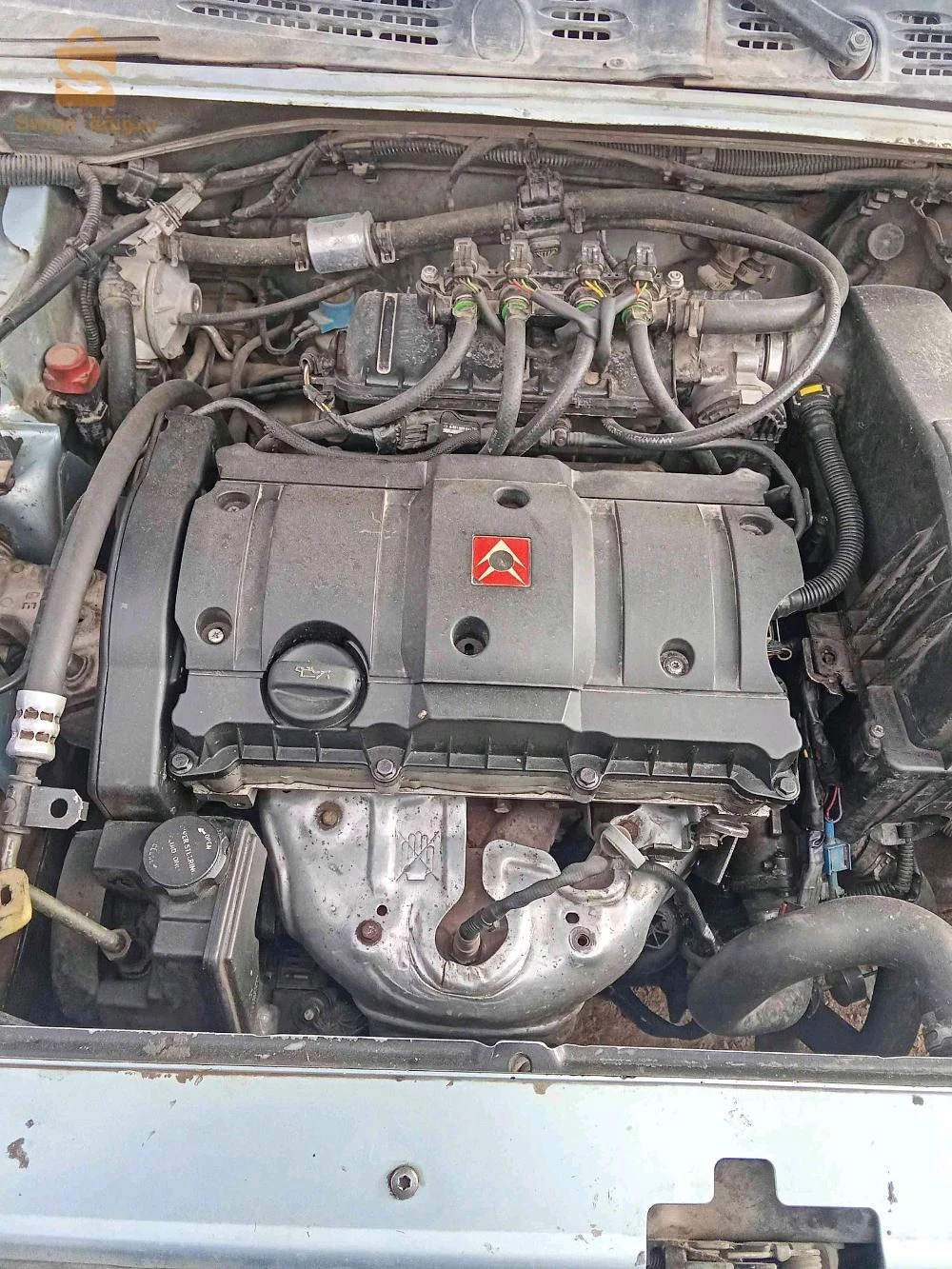ستروين Berlingo 2003 4 ام البواقي