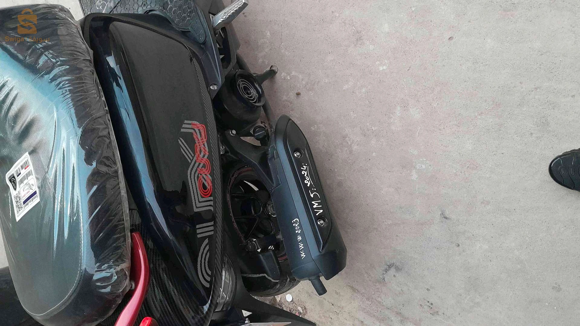 كوكسي مغنية