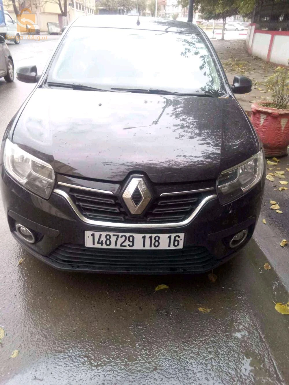 رينو 2018 10 البويرة