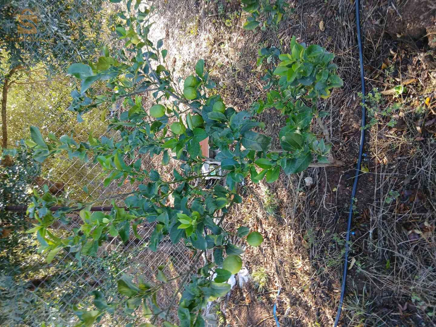 À vendre Terrains résidentiels les chambres  6 BEJAIA