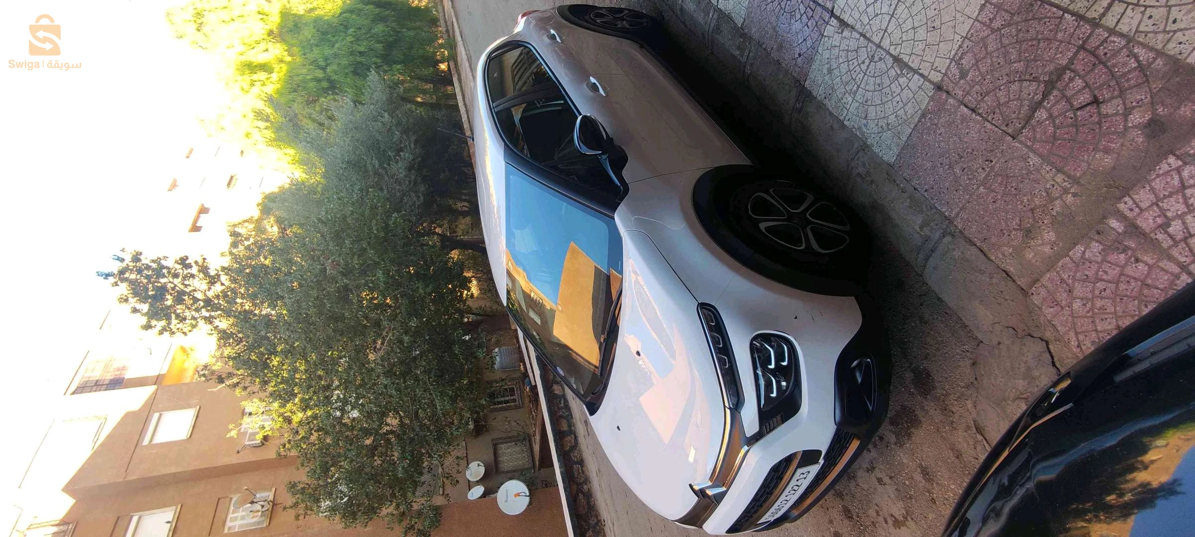 ستروين C3 2022 13 تلمسان