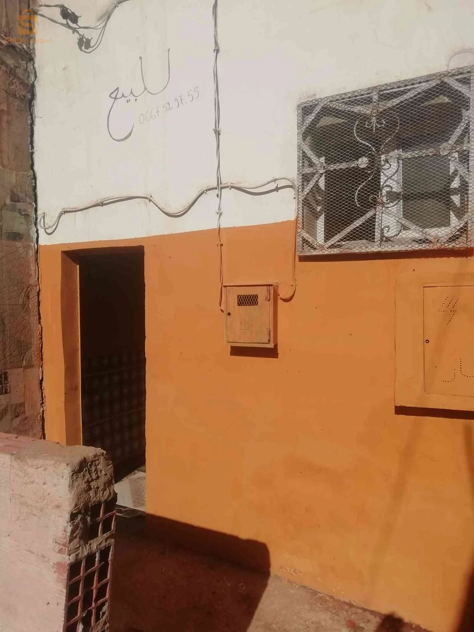 معسكر