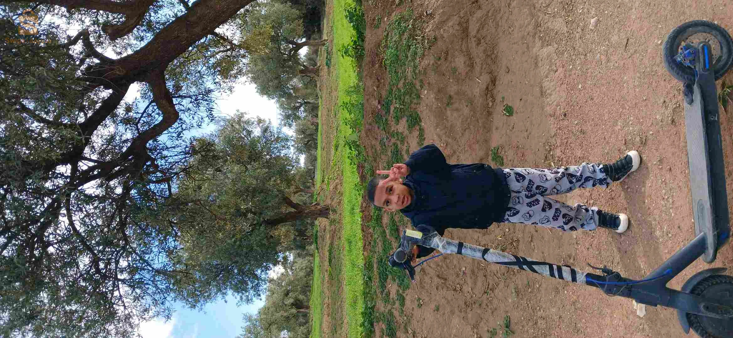 قاضي مراح