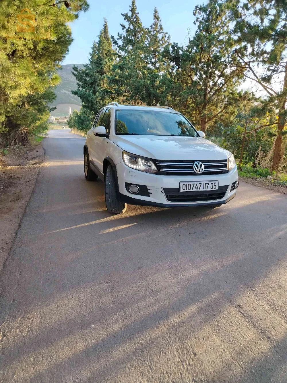 فولكس واجن Tiguan 2017 5 باتنة
