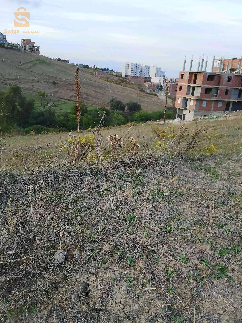 للبيع عقارات اخرى عدد الغرف 18 جيجل