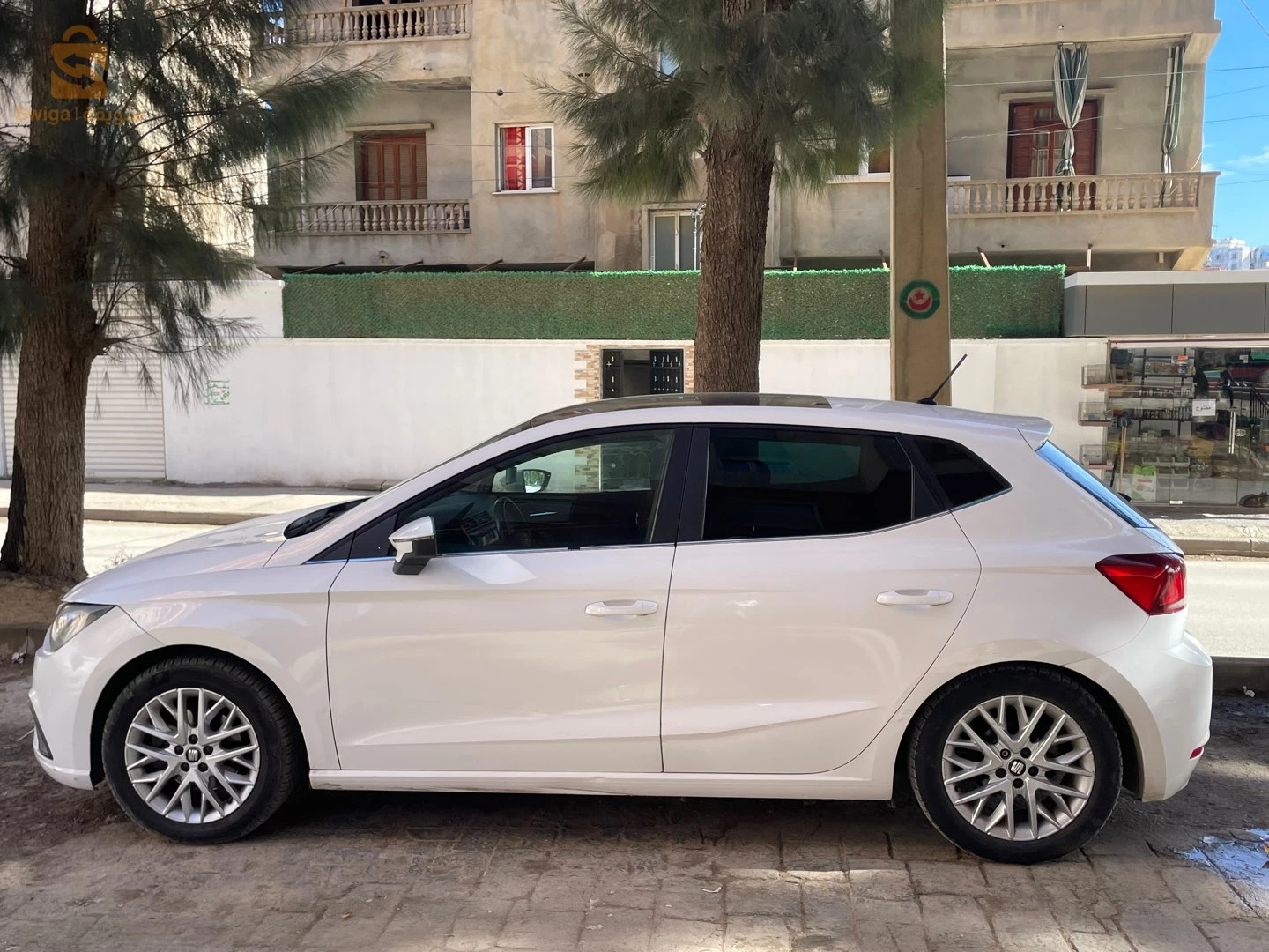 سيات Ibiza 2019 16 الجزائر