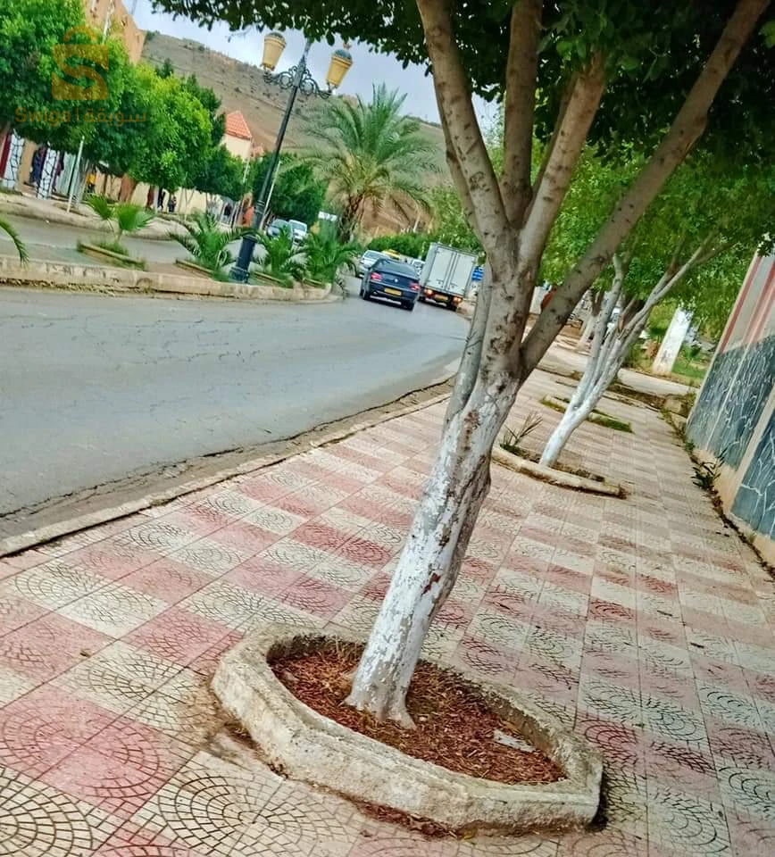 سكن للبيع مستغانم