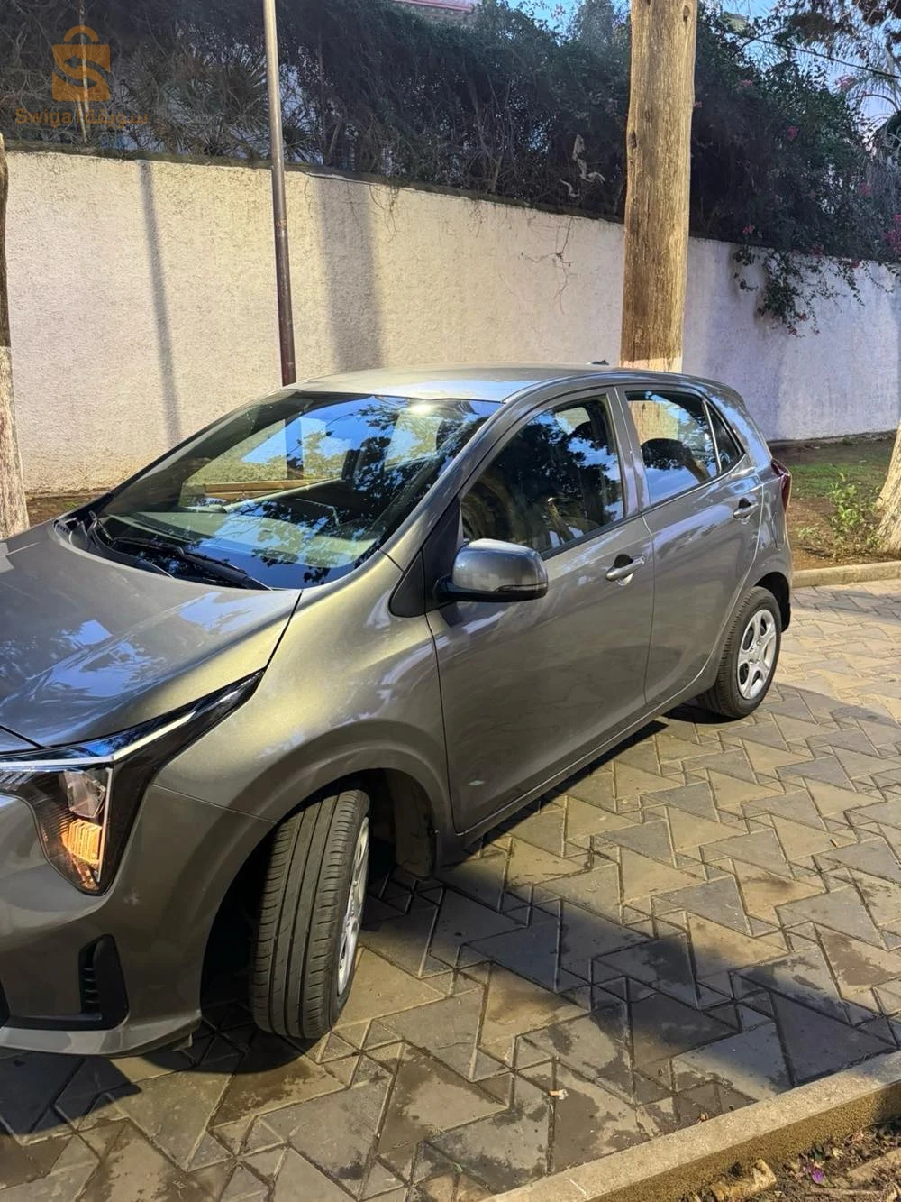 Kia Picanto 2025 16 ALGER