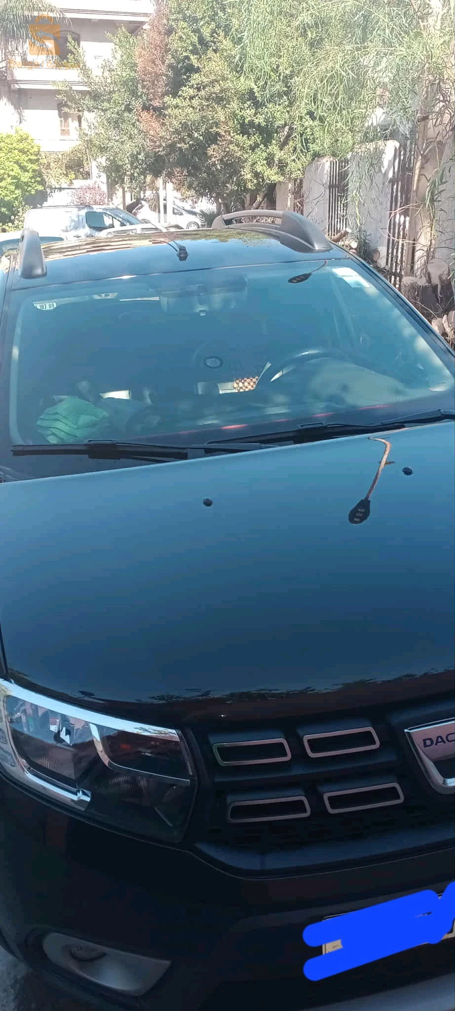 داسيا Sandero 2019 9 البليدة