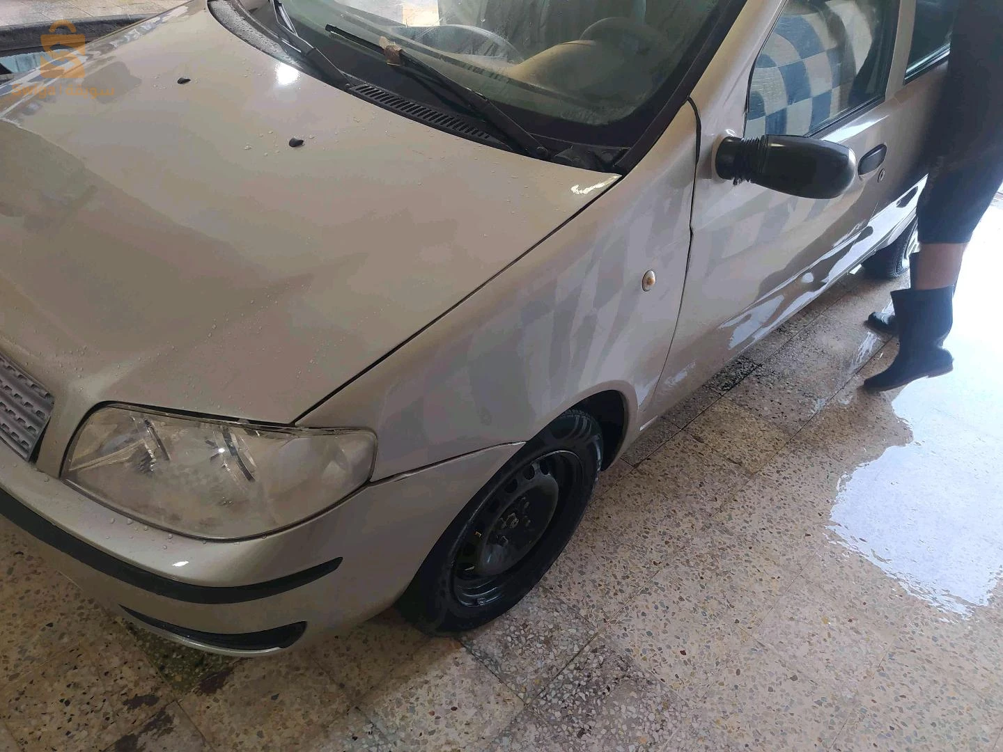 فيات Punto 2008 13 تلمسان