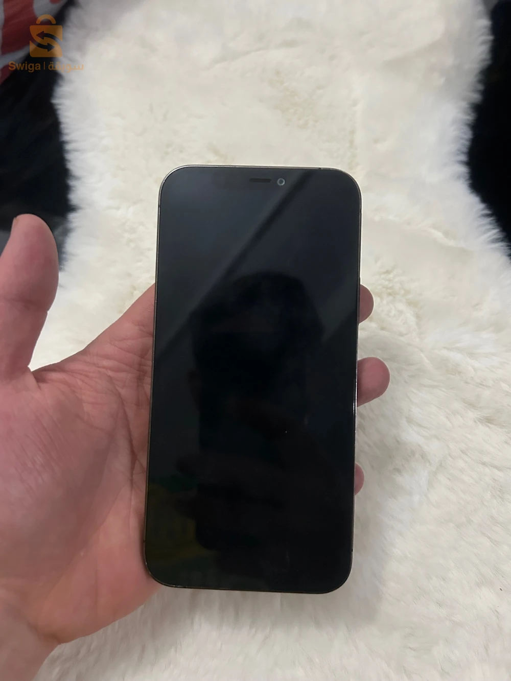iphone 12 pro