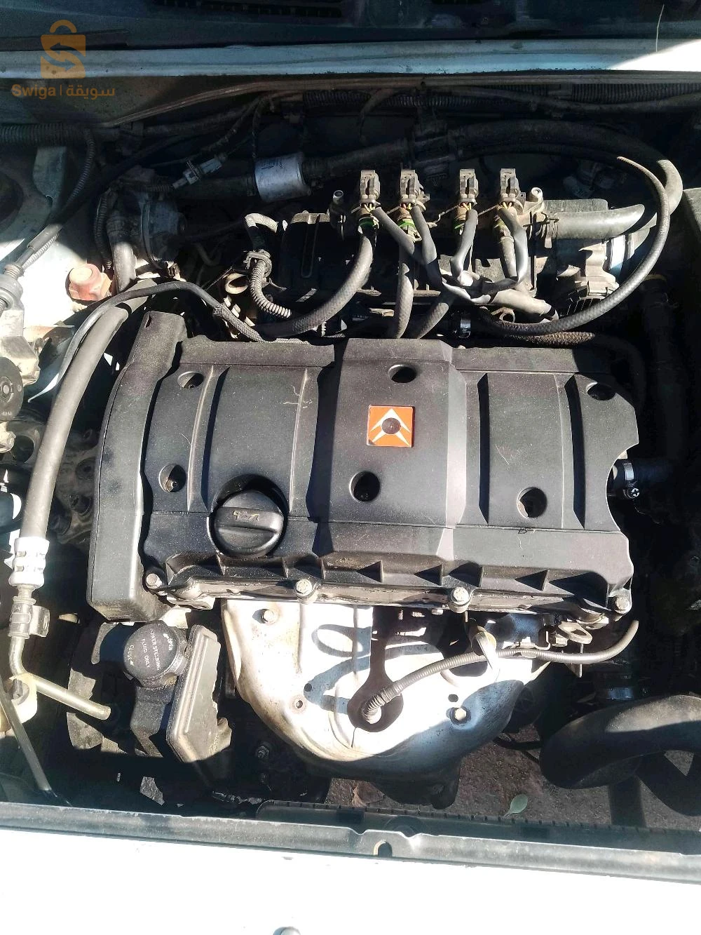 ستروين Berlingo 2003 4 ام البواقي