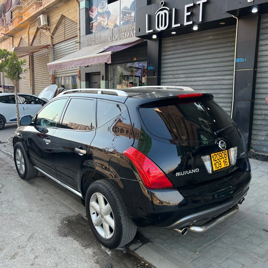 Nissan Murano 2009 16 ALGER