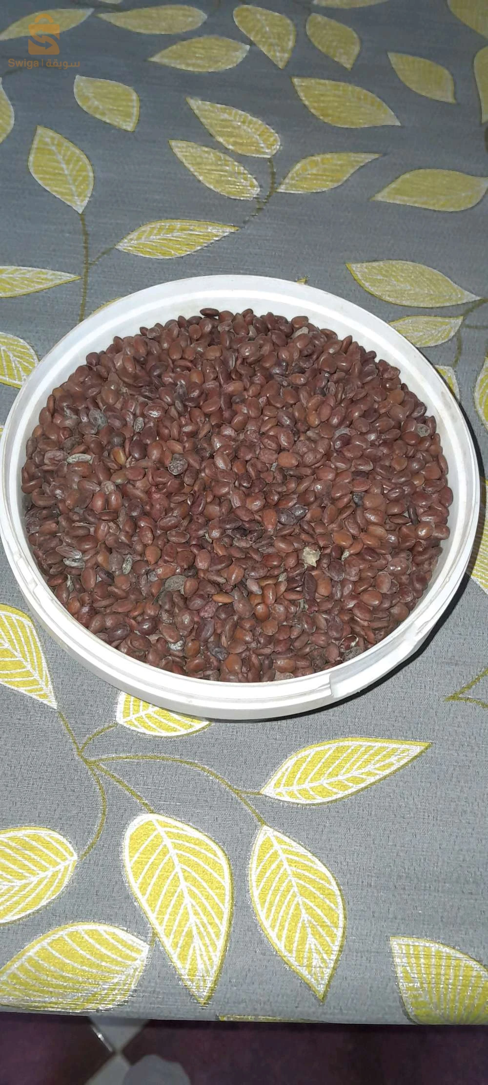 بذور الخروب