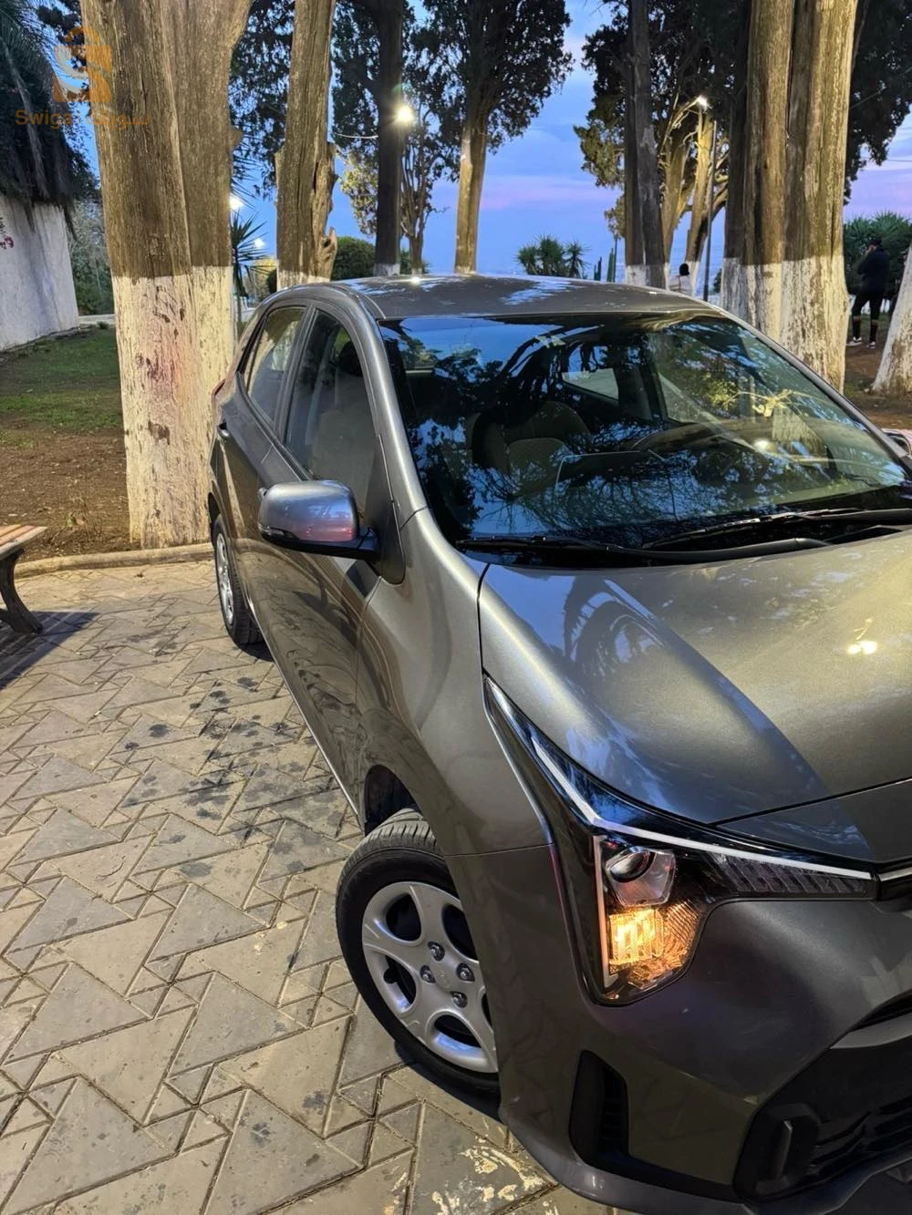 كيا Picanto 2025 16 الجزائر
