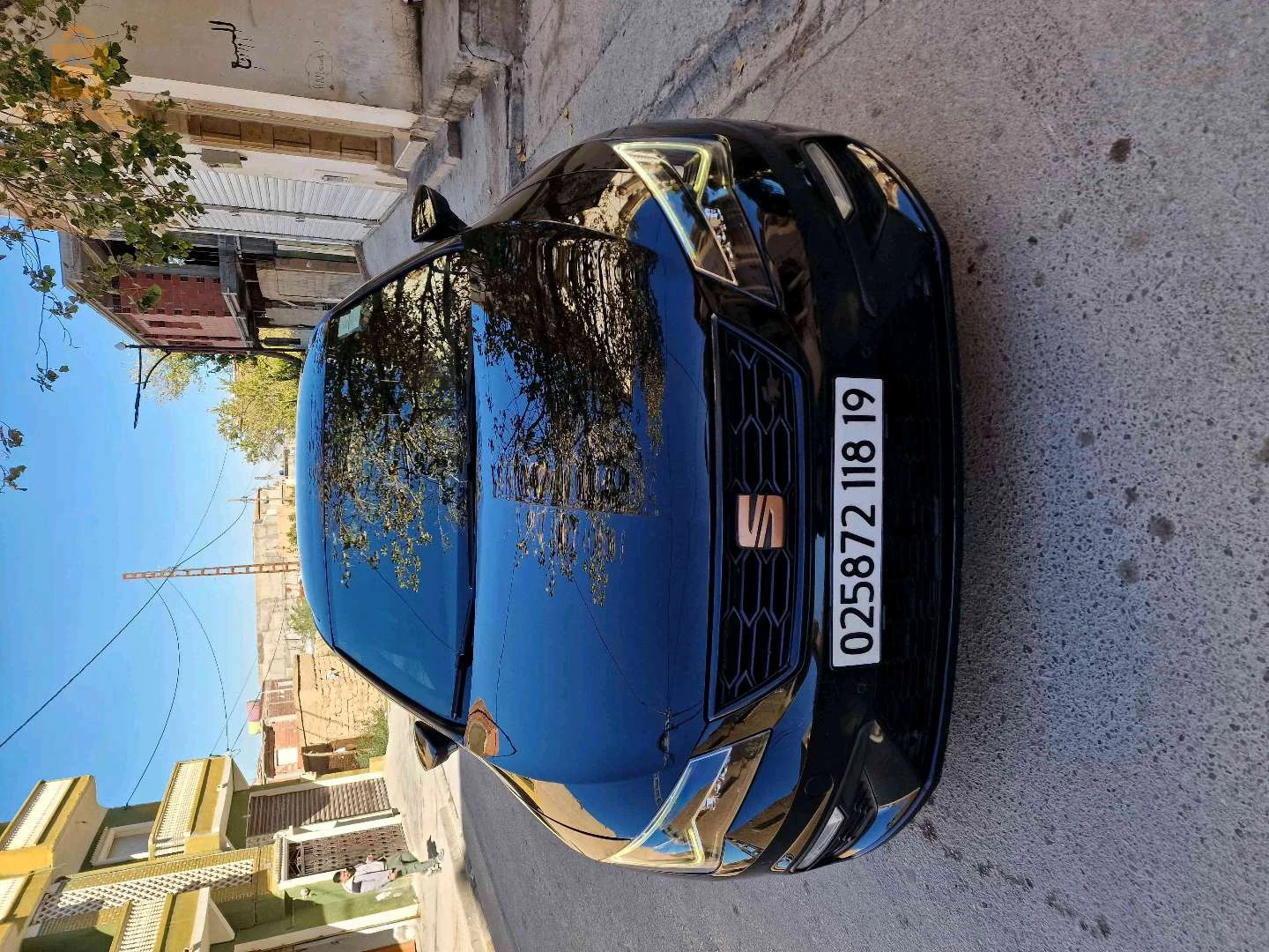 سيات Leon 2018 19 سطيف