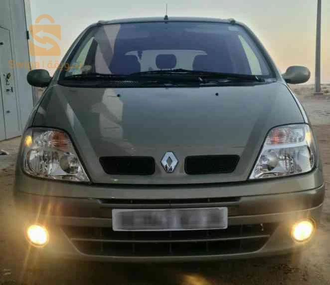 رينو Scenic 2003 39 الوادي