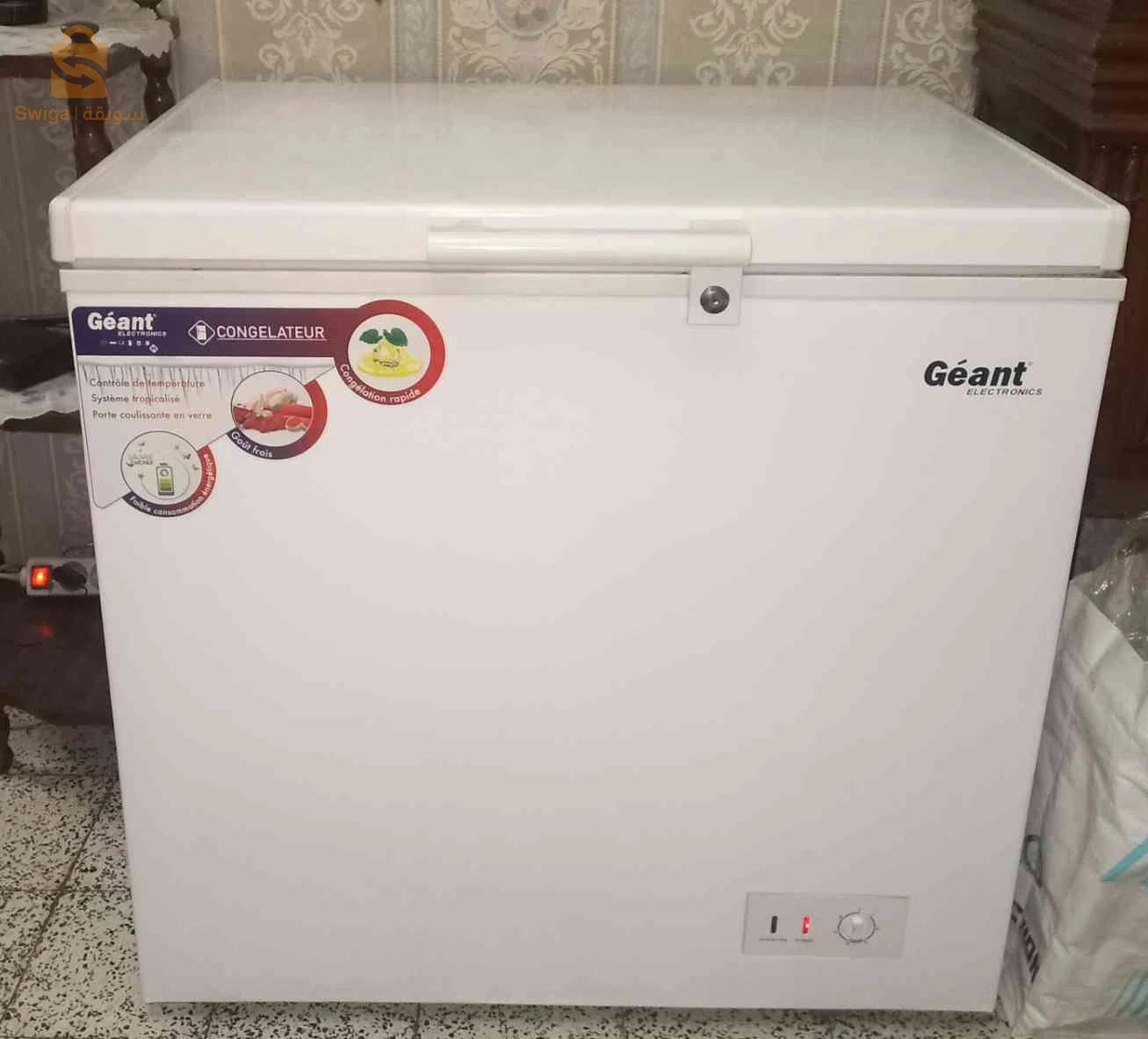 Congélateur Géant Electronics – حالة ممتازة