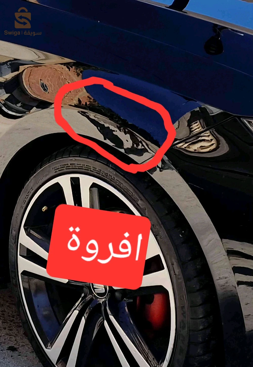 سيات Leon 2018 19 سطيف
