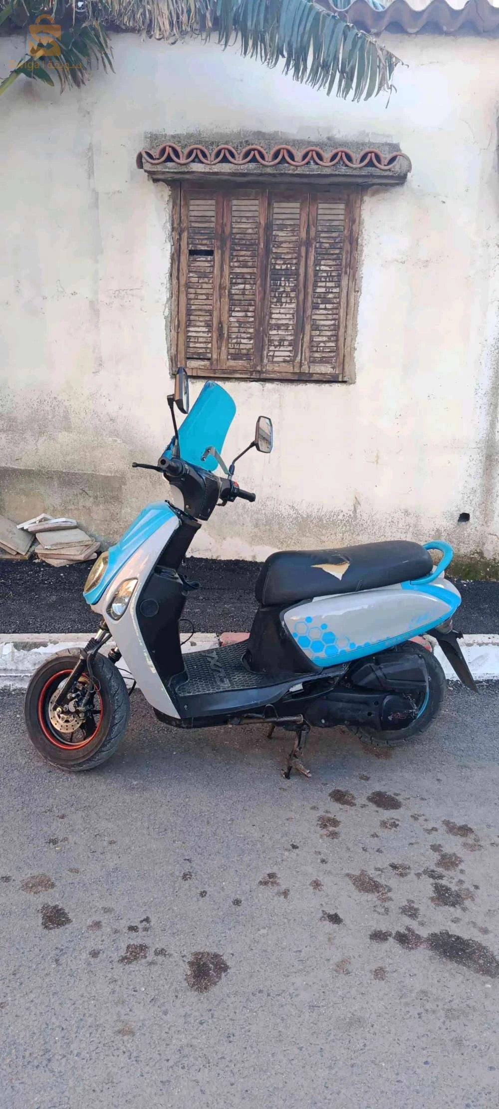 Estate x 2020