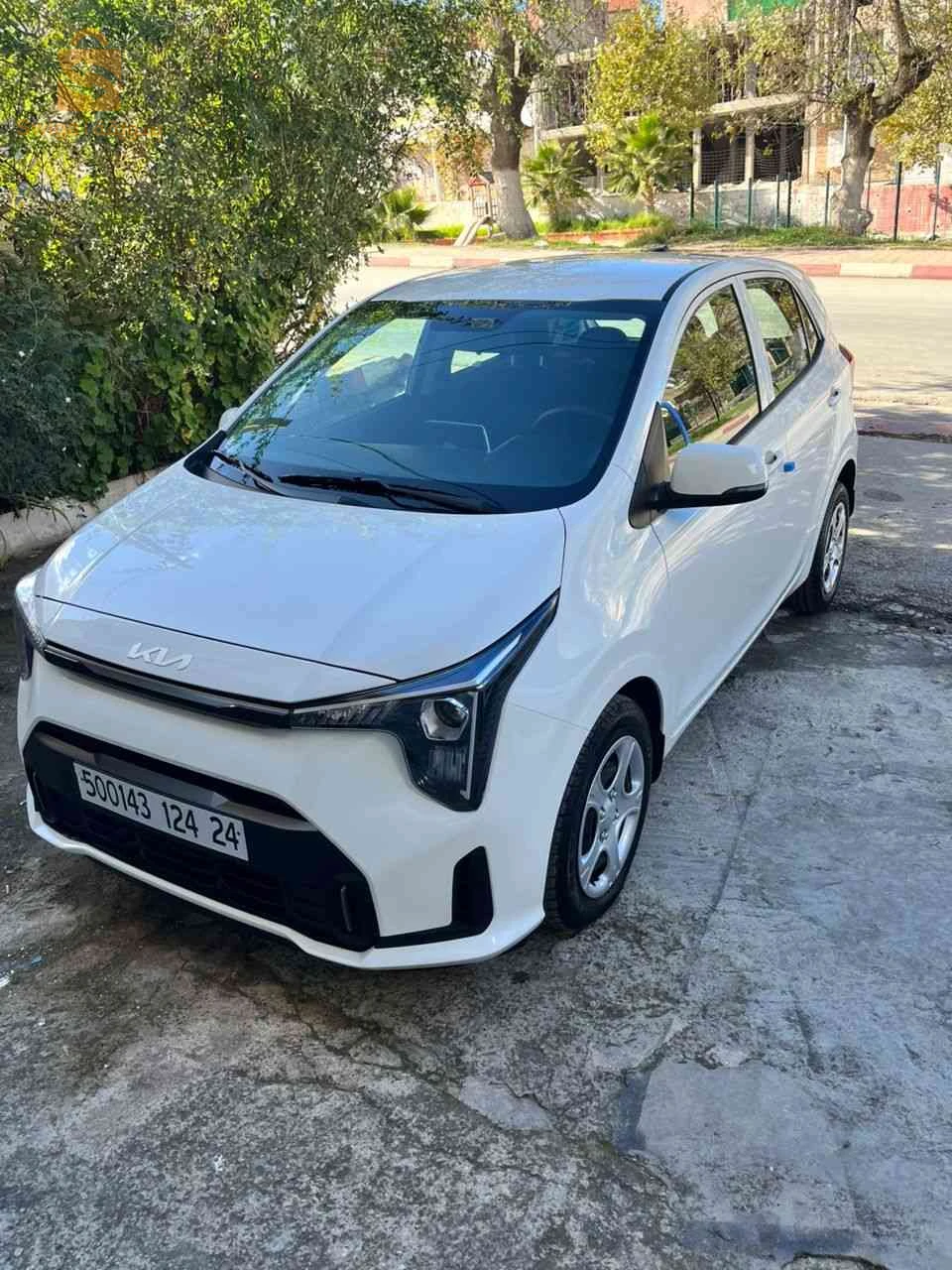 كيا Picanto 2024 41 سوق اهراس