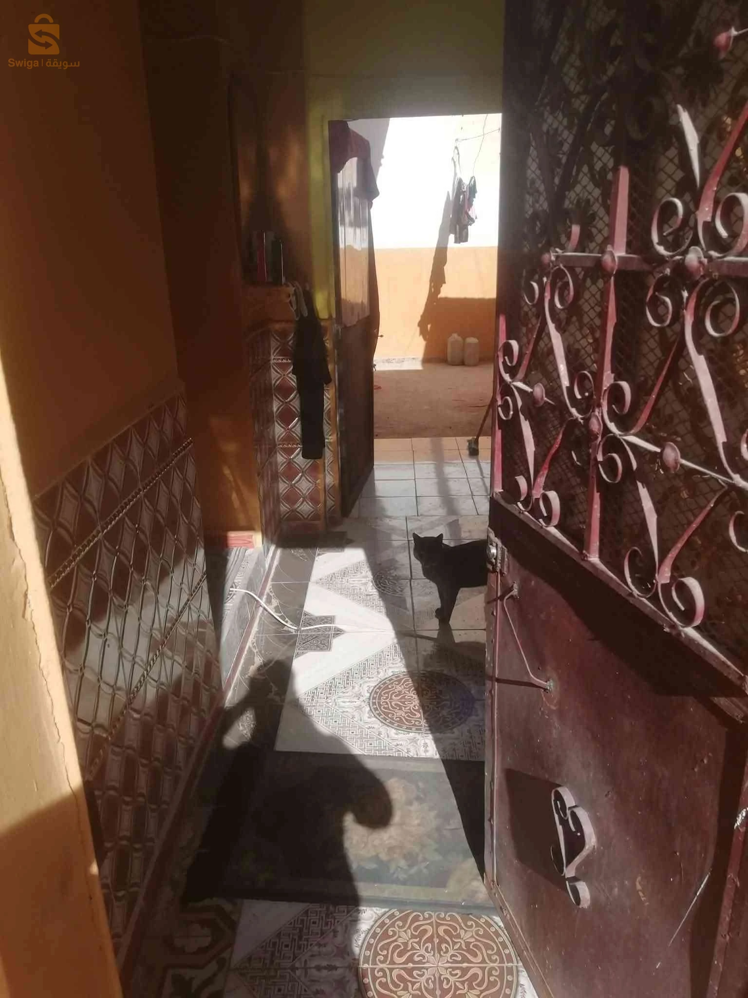 معسكر