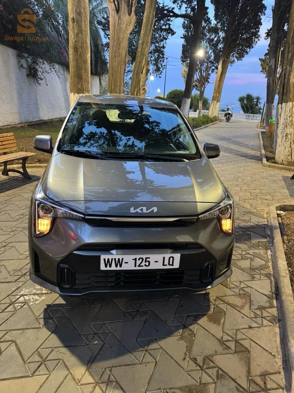 كيا Picanto 2025 16 الجزائر