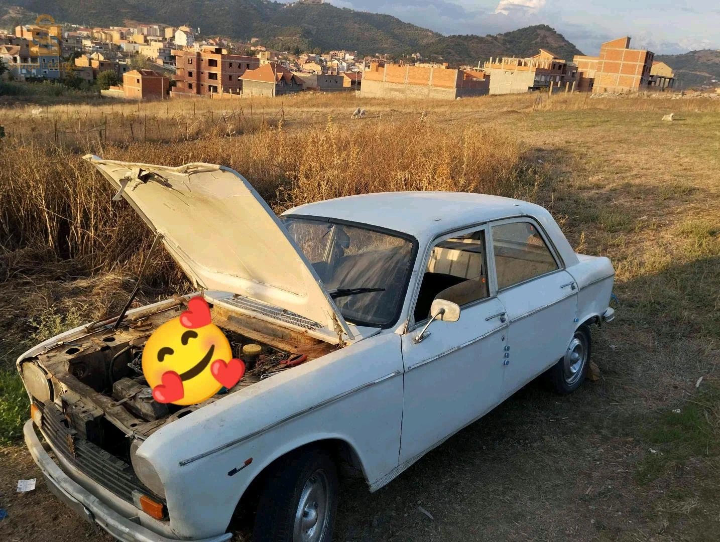 Peugeot 204 15 TIZI OUZOU