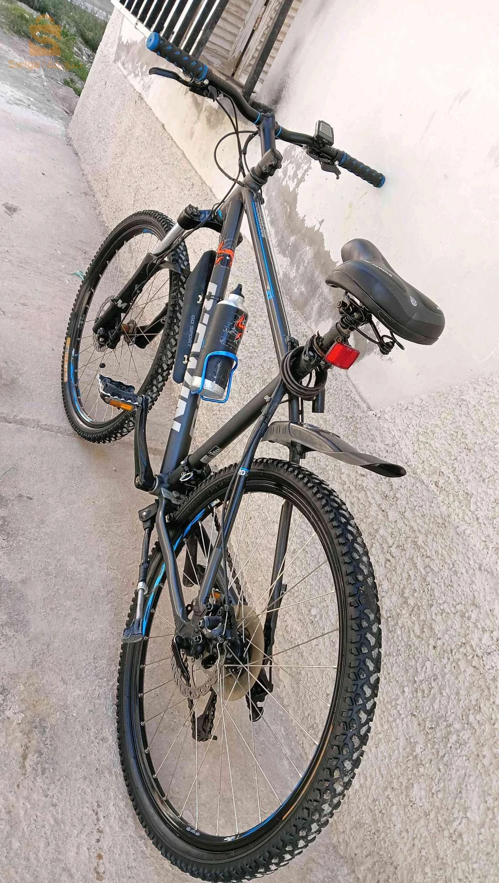 2 فيلوات bitwin