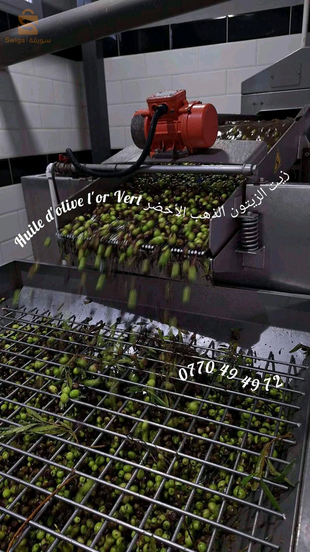 huile d'olive naturelle زيت زيتون طبيعية من بجاية