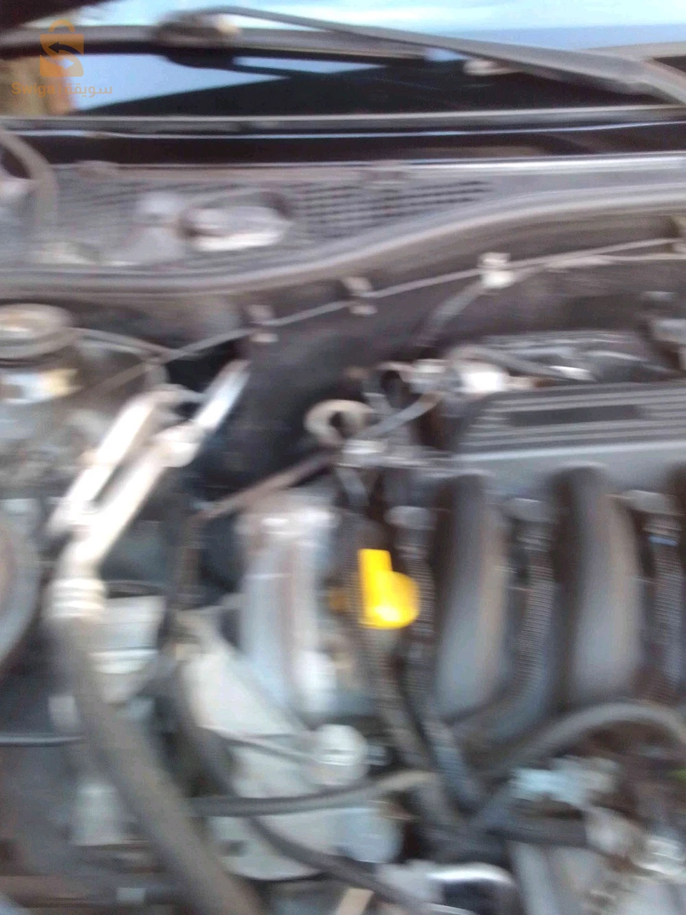 داسيا Duster 2016 40 خنشلة