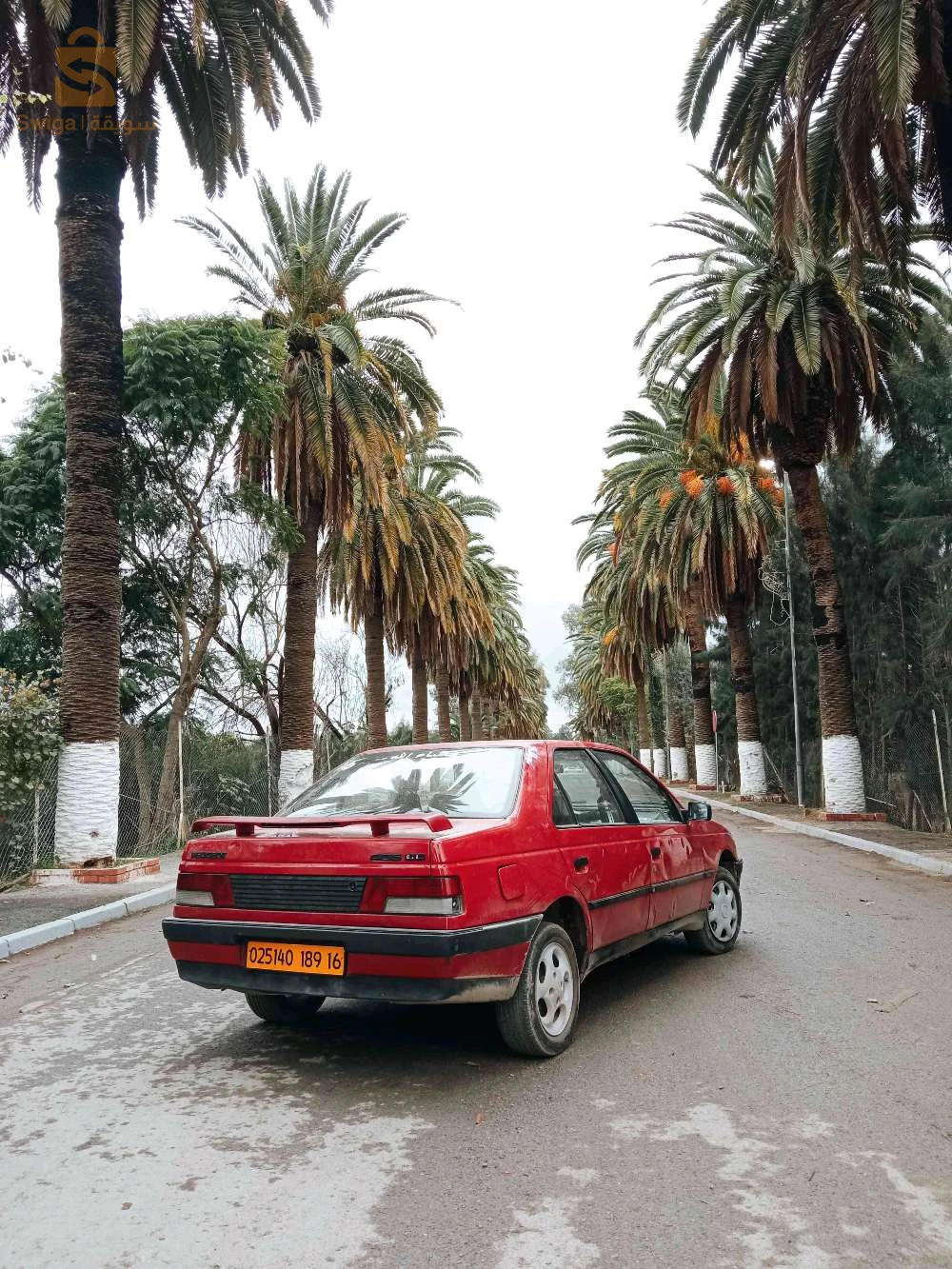 بيجو 405 1989 16 الجزائر