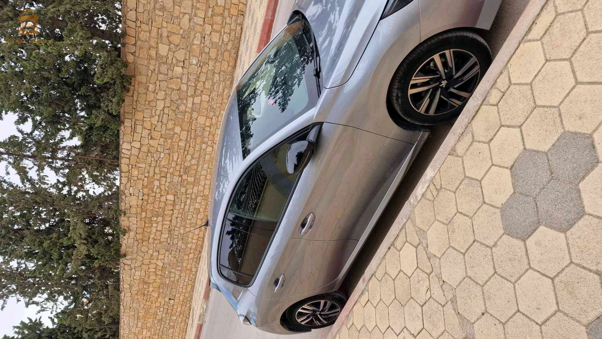 بيجو 208 2023 12 تبسة