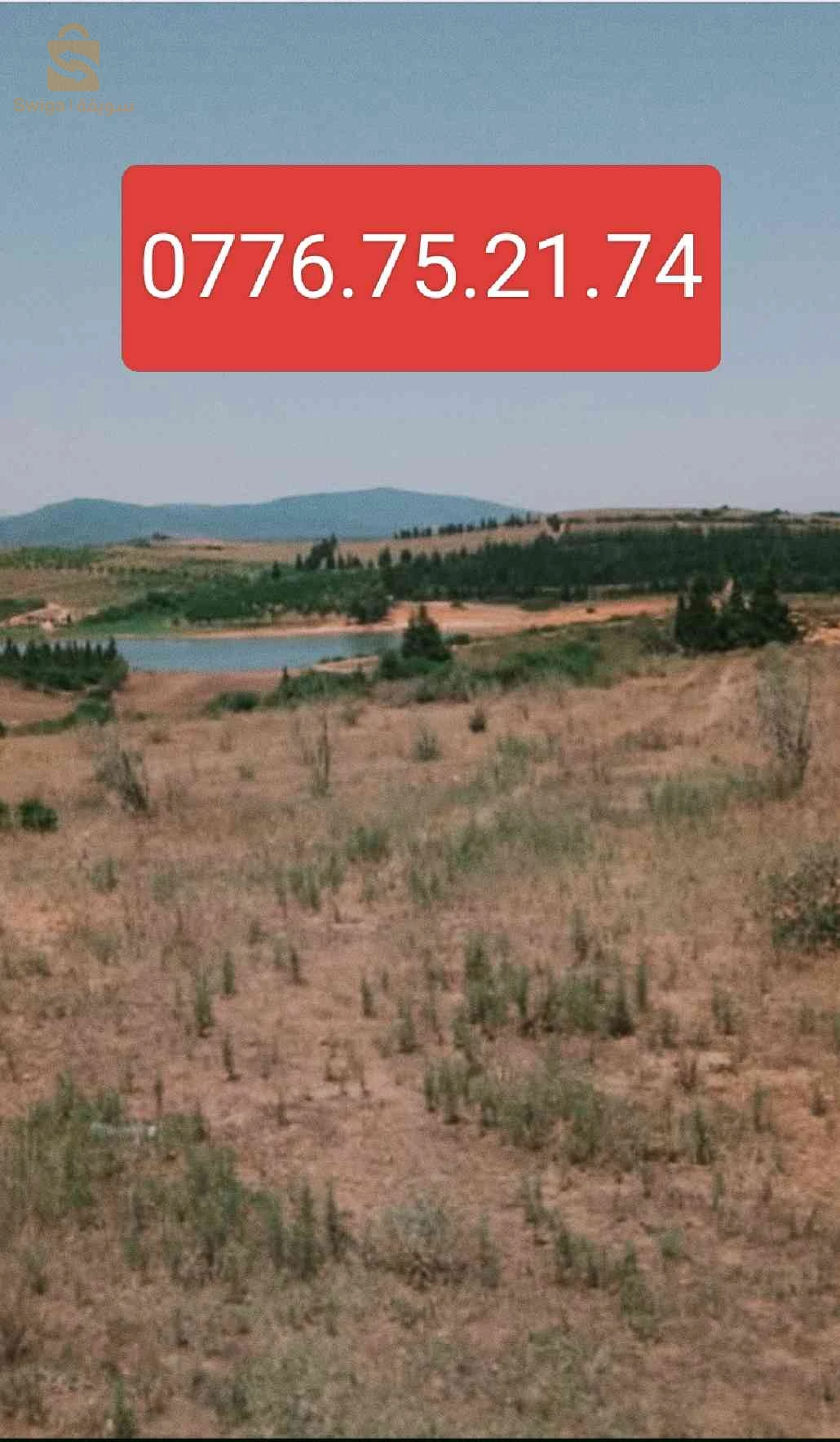 أرض فلاحية للبيع