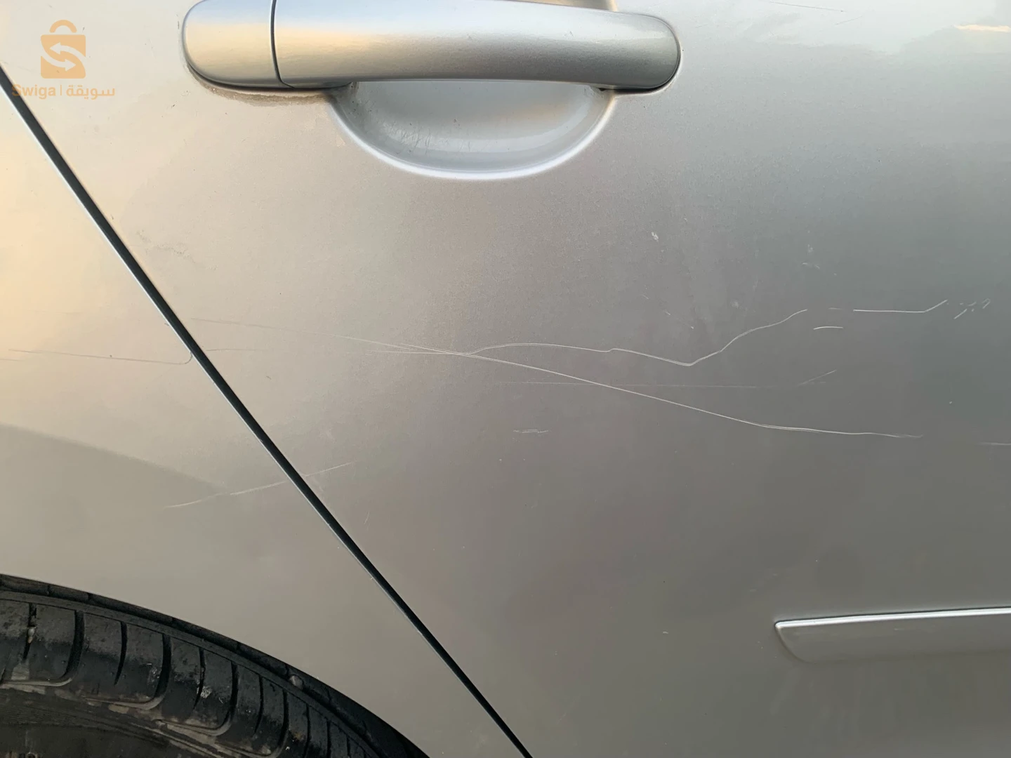 سكودا Rapid 2019 18 جيجل