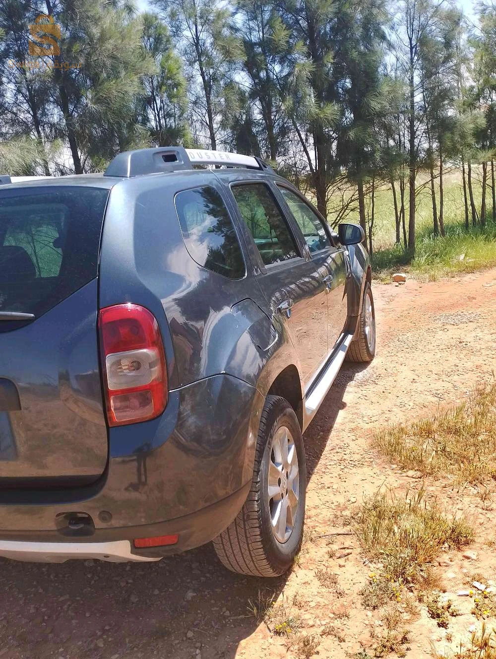 داسيا Duster 2014 17 الجلفة
